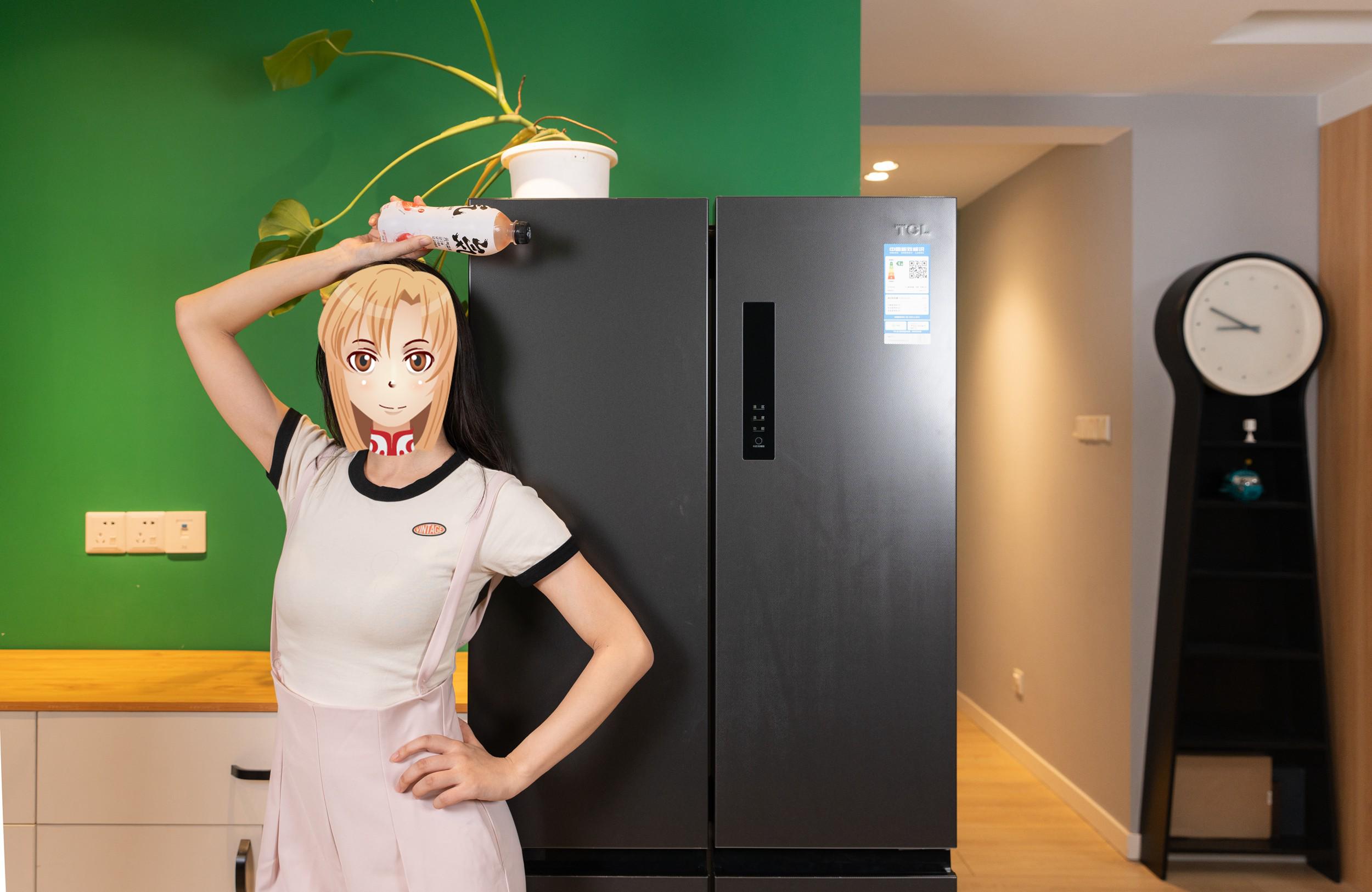 性价比高的冰箱选购参数,2022年618冰箱选购指南