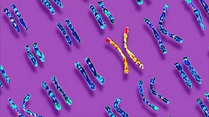 医生才知道的9种妇科问题,如何确定卵巢早衰与否