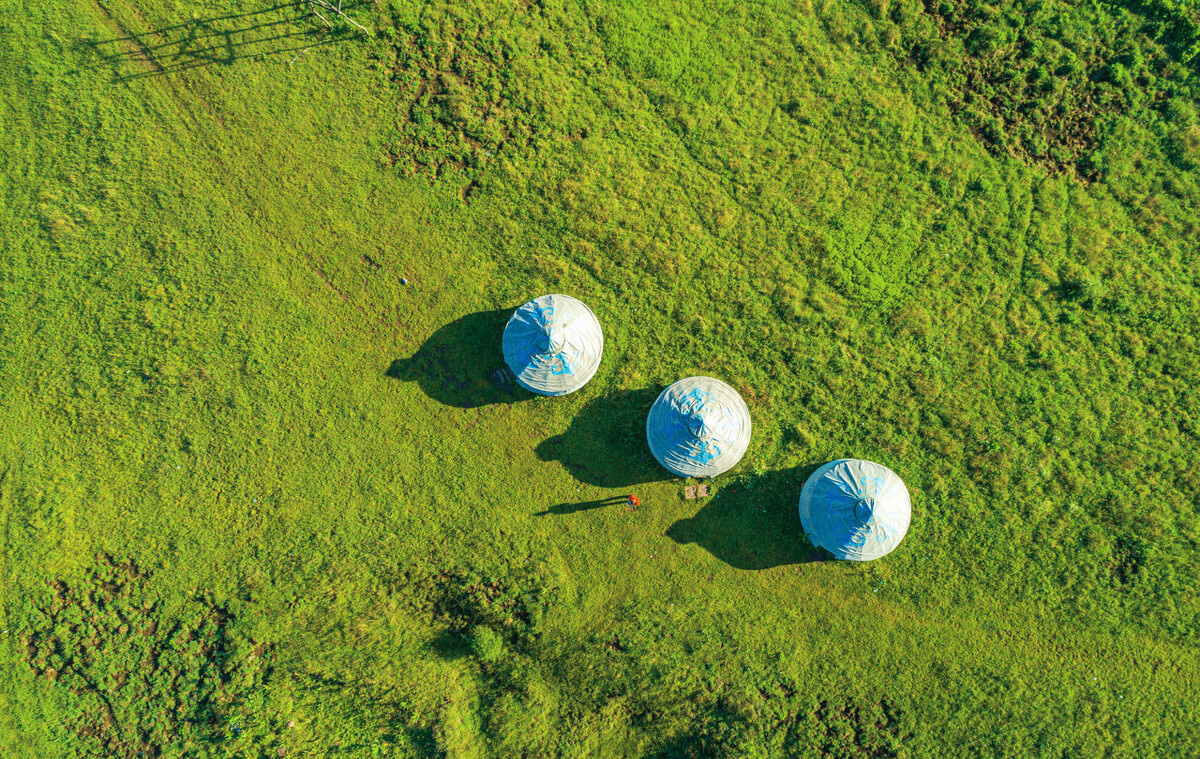 山*藏西**着个“小*疆新**”，花海湖泊草甸似仙境，不收费的满分避暑地