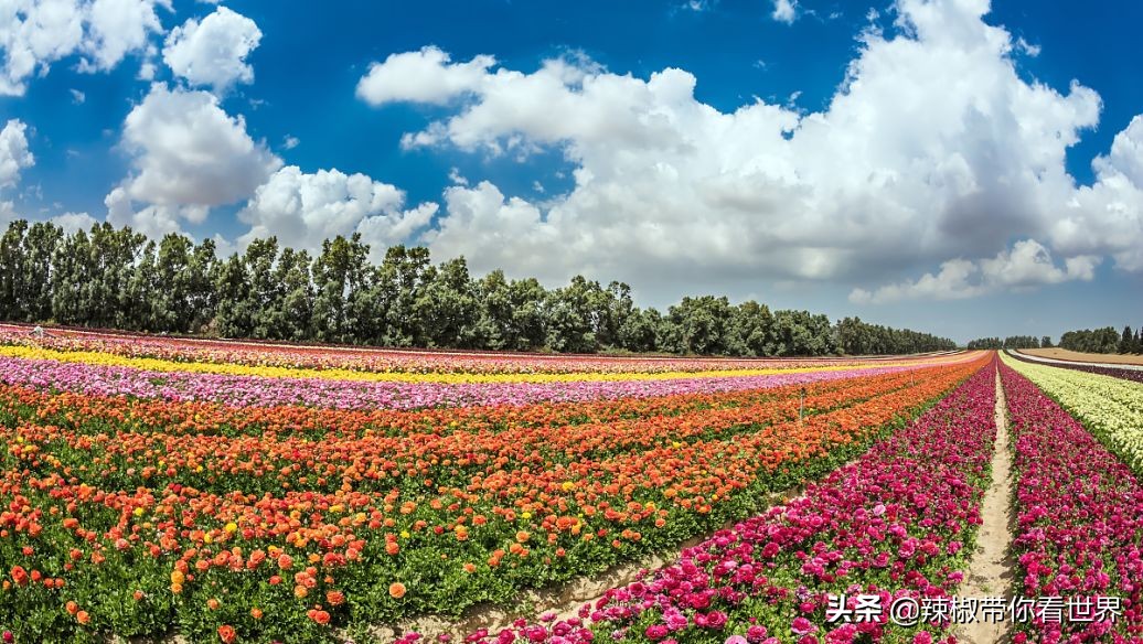 盐城最大的海边城市,盐城海岸线为何一直延伸