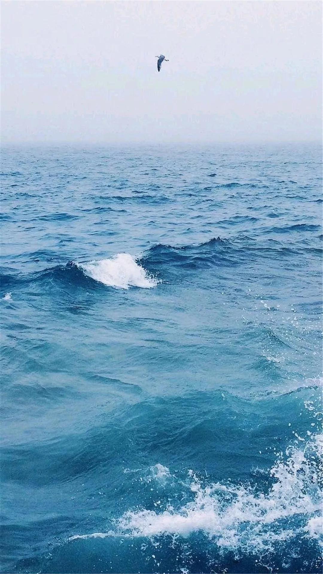 大海壁纸明亮,大海壁纸