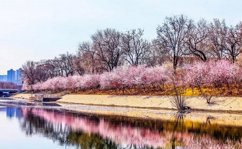 天津冷门,天津周边冷门自驾