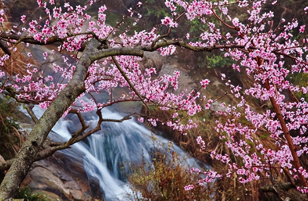 现代网络流行语用古诗词怎么说,当流行语句遇上古诗文会有多惊艳