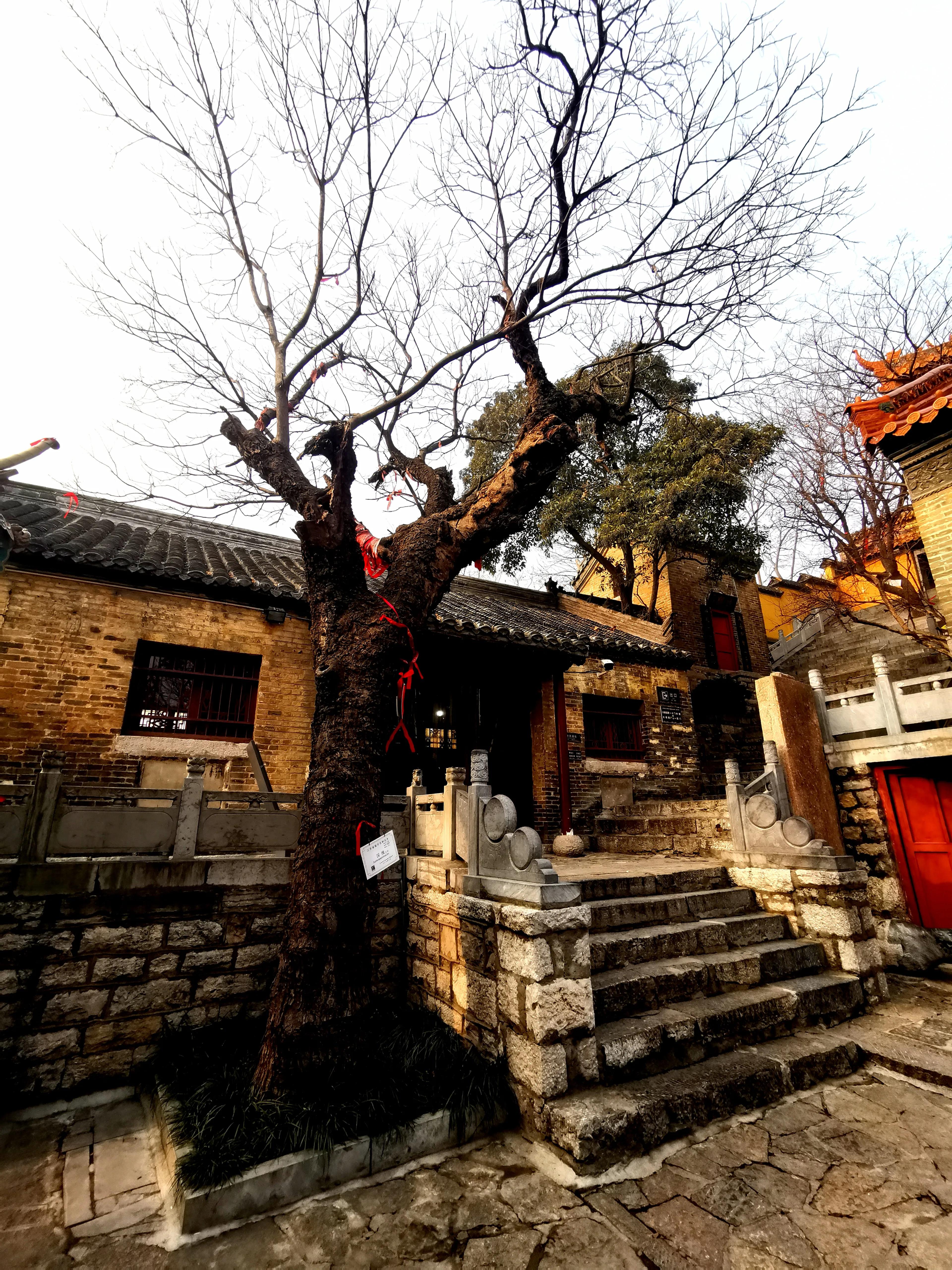 清心寡欲的诗,清心寡欲