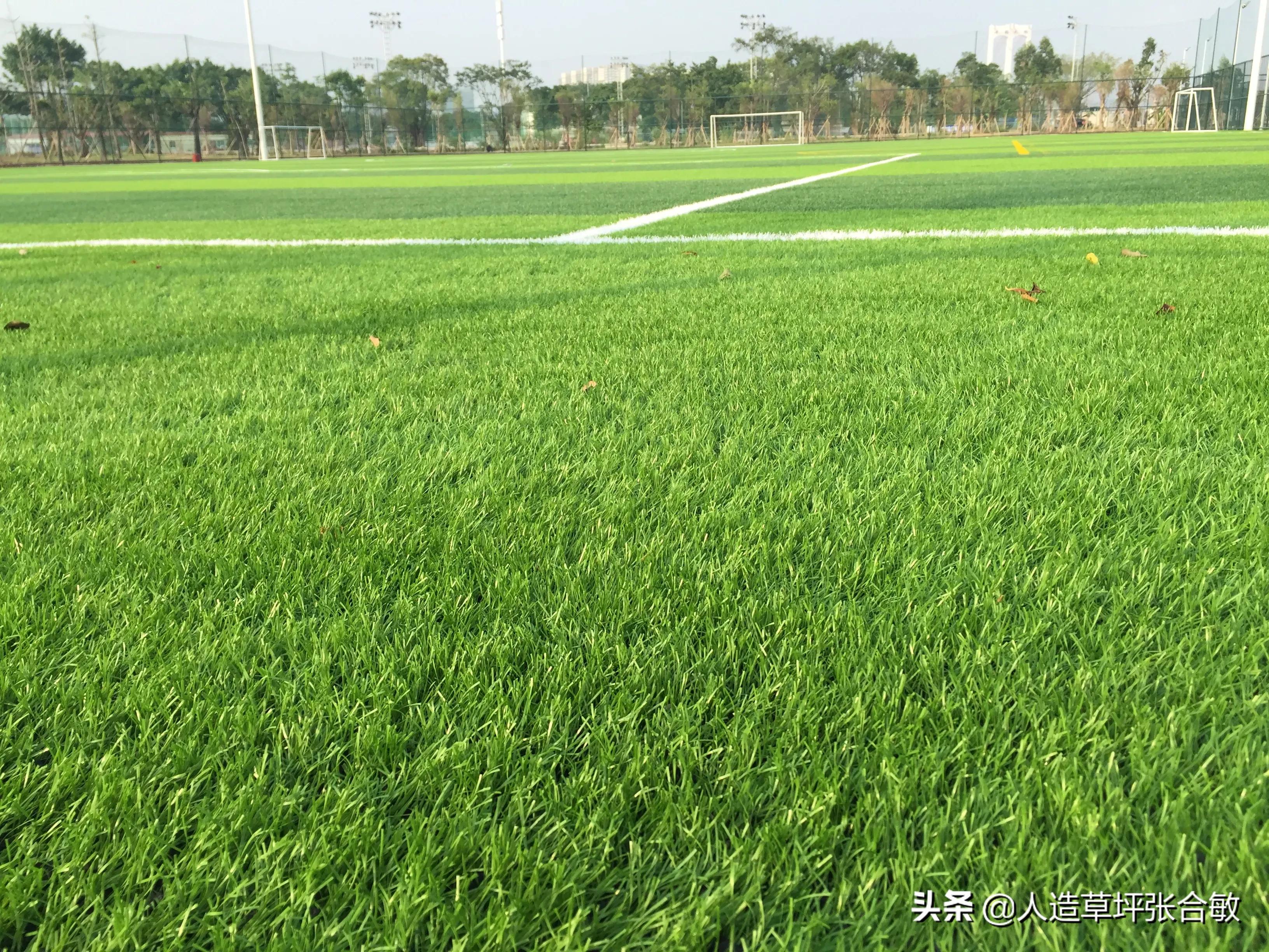 足球场草皮破损修补,足球场草皮要怎么处理