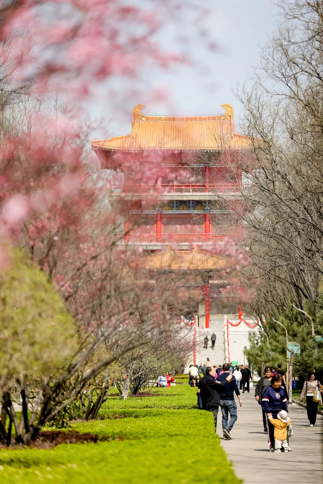 汾阳汾酒文化景区,汾阳杏花千年古韵