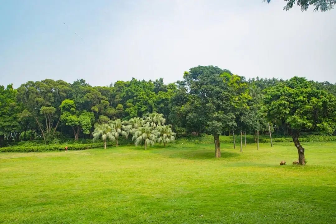 深圳-2023大部分免费！五一假期游玩攻略在这！每一个都很想去！