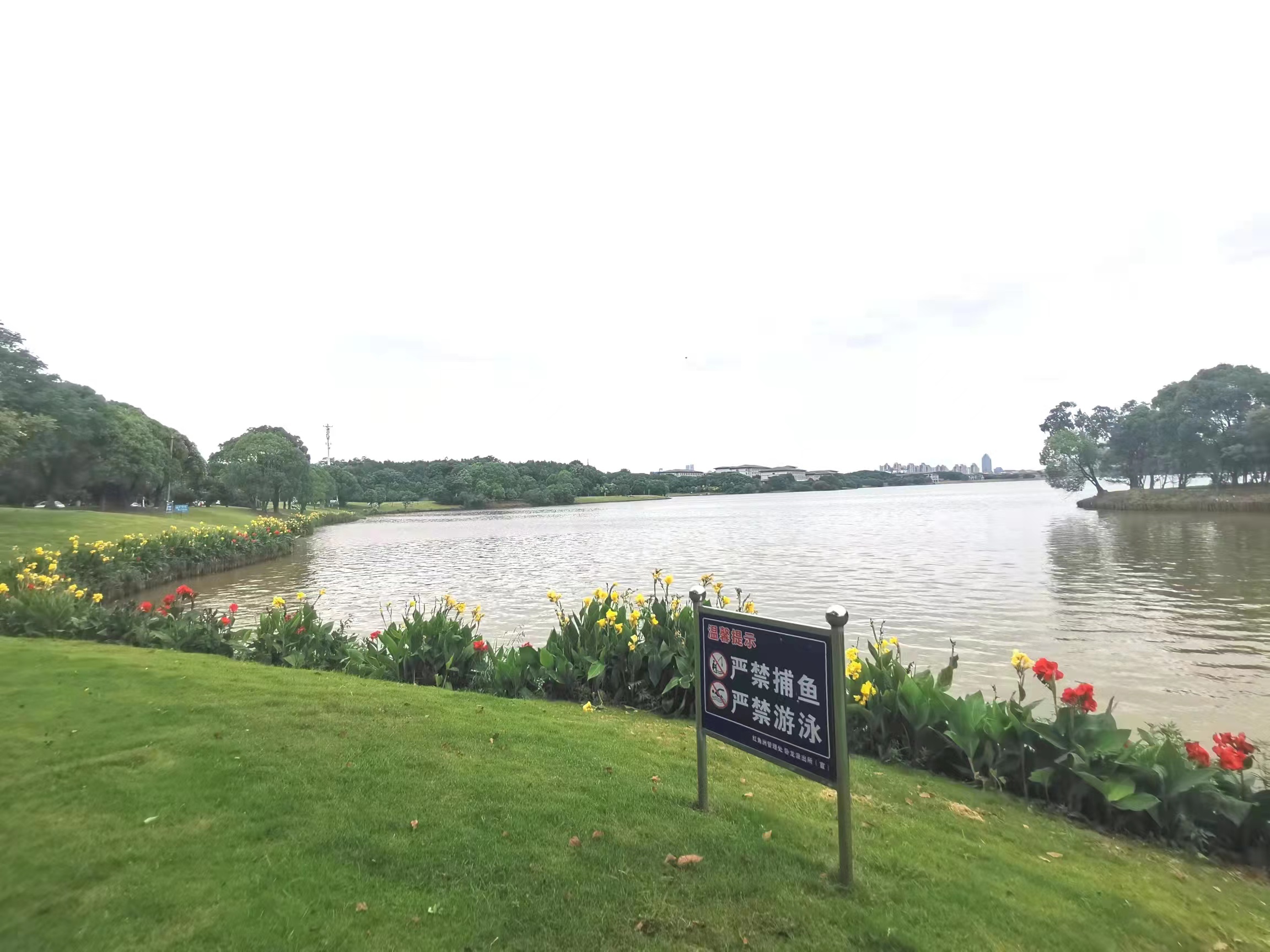 南昌市国家级防洪湿地公园,南昌全力冲刺创建国际湿地城市