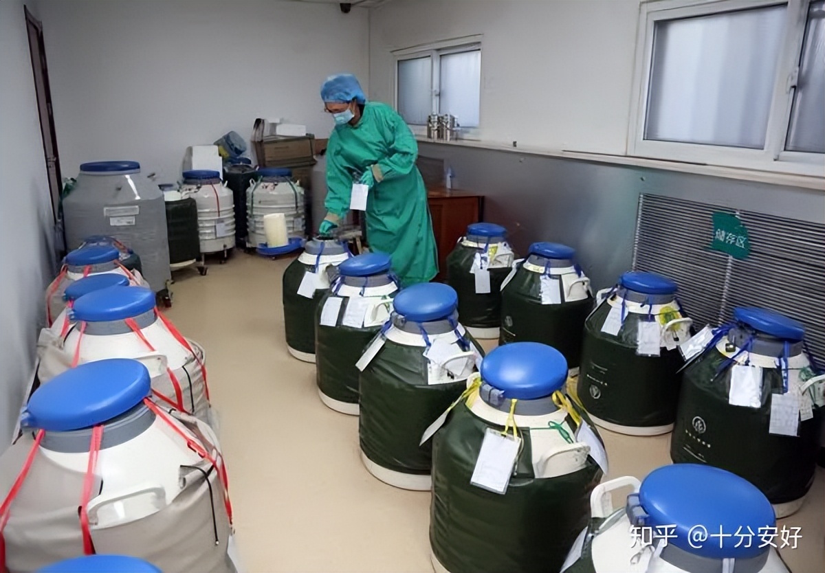 博士11天捐精5次猝死，家属要求400万赔偿，责任谁来承担？