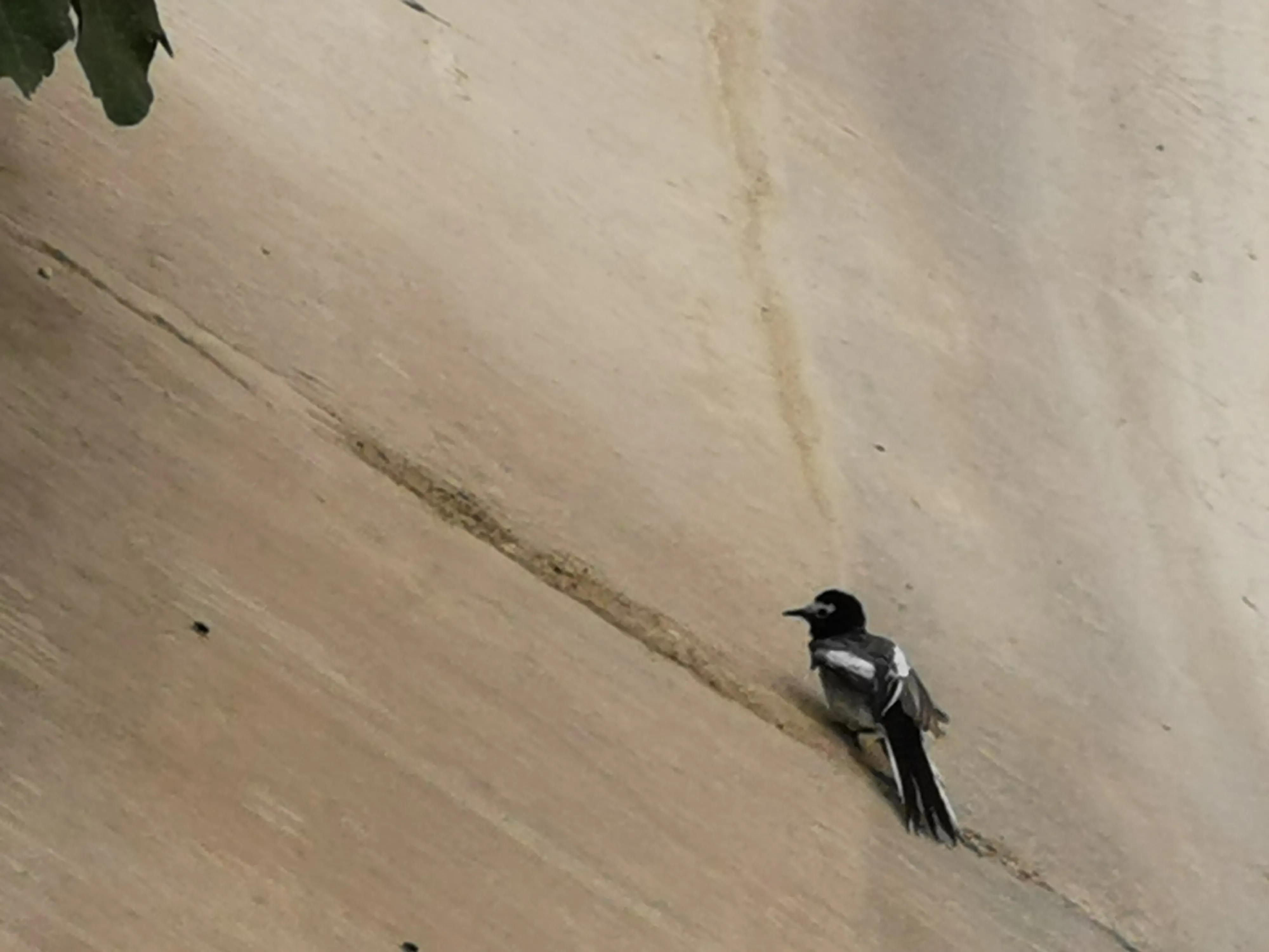 骑行新疆喀什噶尔,和田至阿拉尔沙漠公路骑行攻略