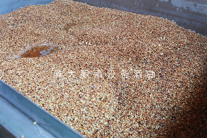 一般酿酒设备蒸粮全过程,酿酒设备做固态酒