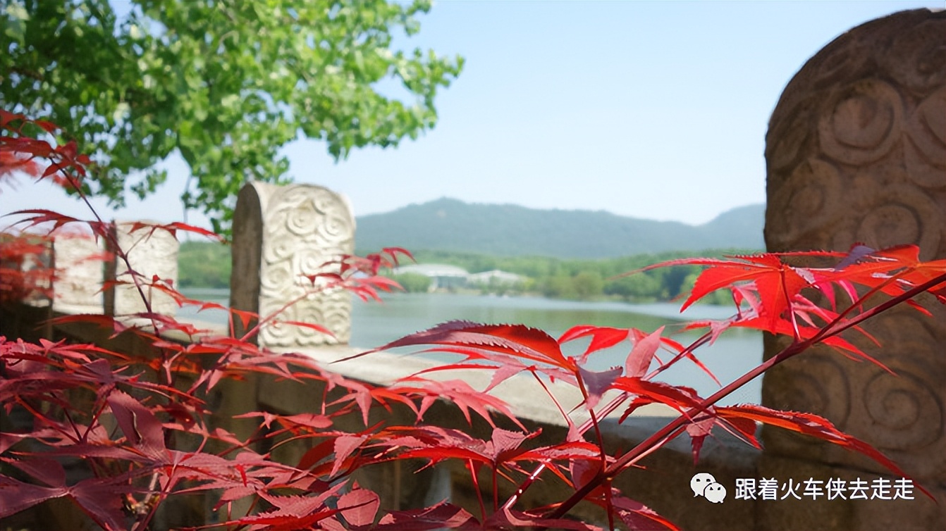 南京城墙下的琵琶湖,南京旅游先看城墙还是先看玄武湖