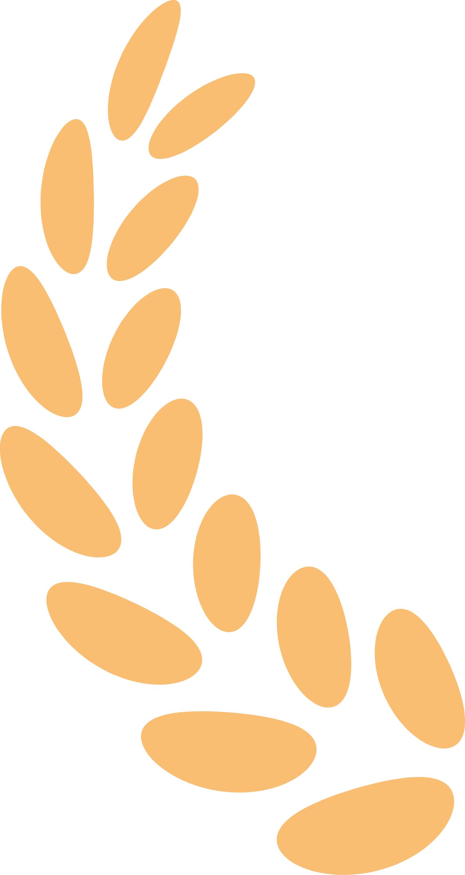 医护人员编制最新优惠政策,医护人员入编制的条件