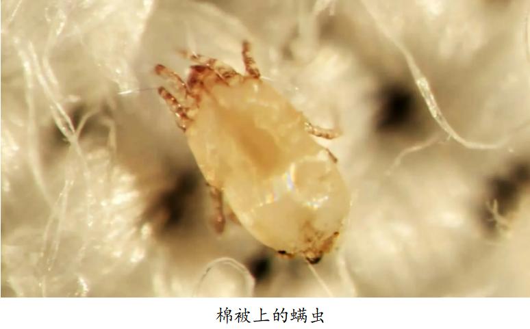 滚筒洗衣机各大功能介绍,有关滚筒洗衣机知识