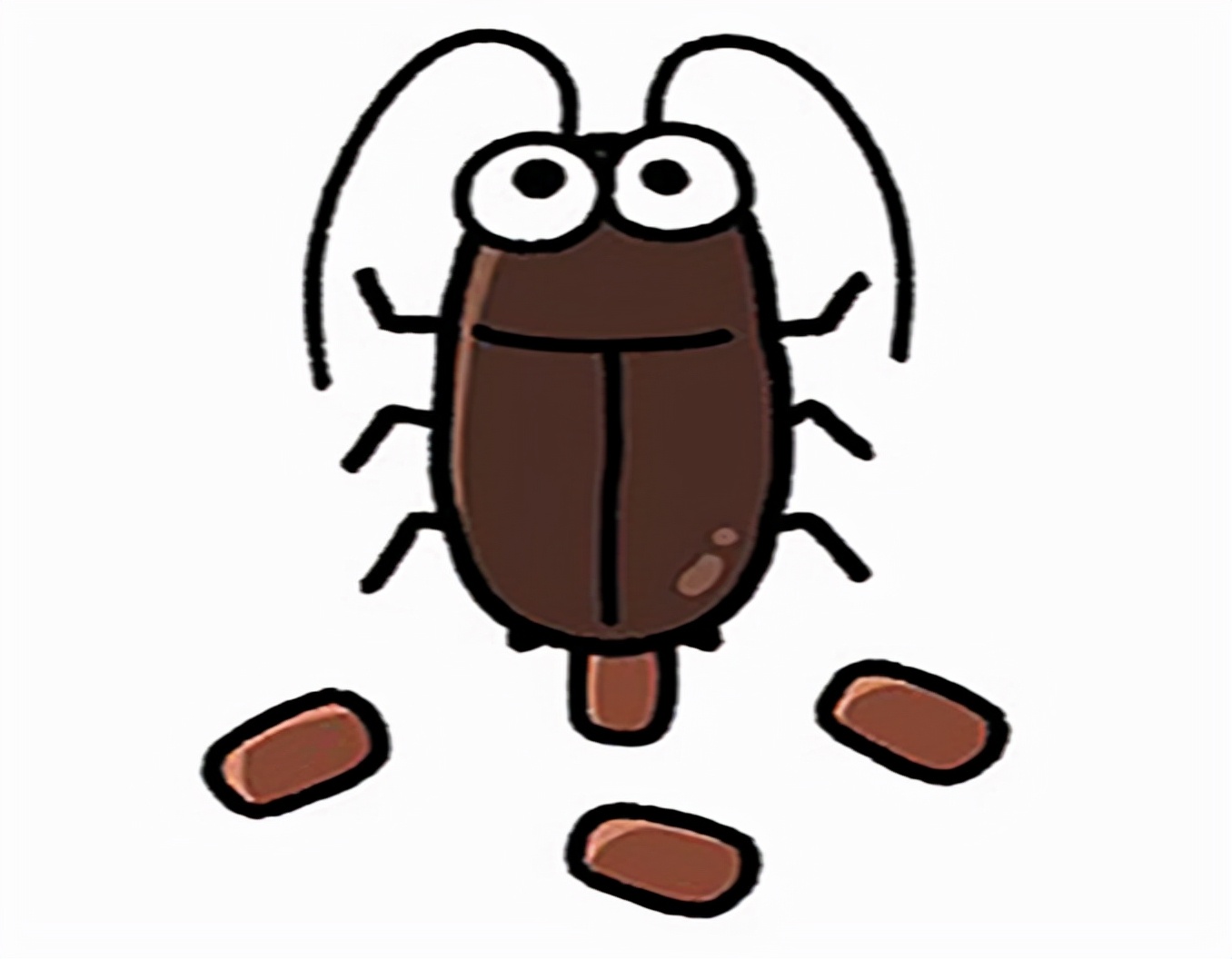 蟑螂没有头能存活很久是真的吗,蟑螂为何遭受巨大打击也能存活