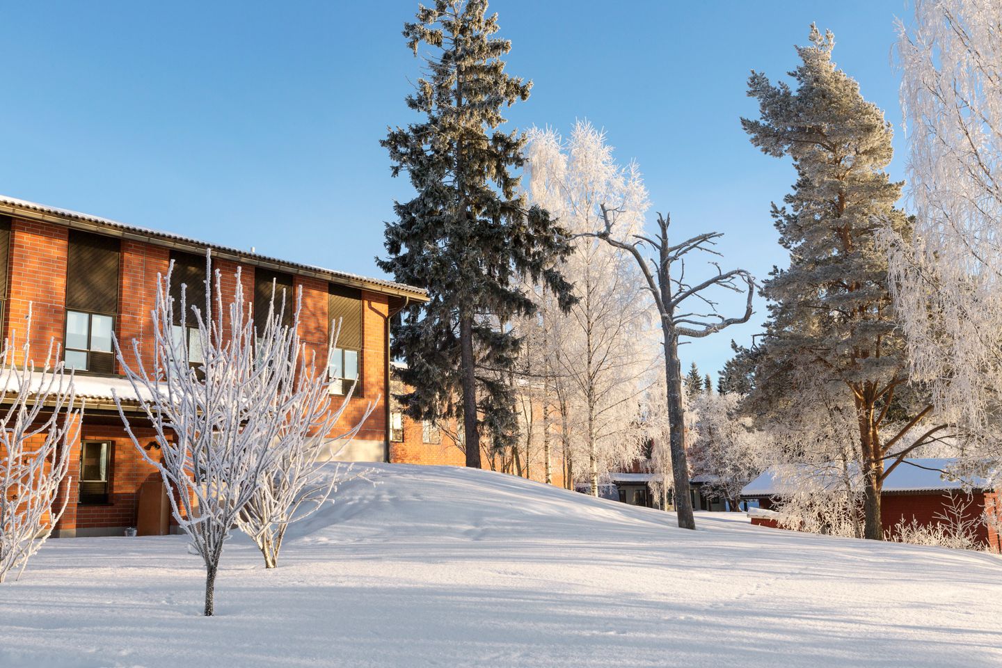 德国真力音响 (芬兰genelec音箱)