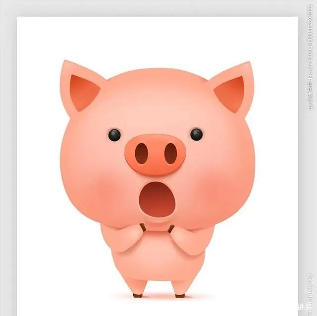 十二生肖的卯兔的性格,卯兔代表什么生肖