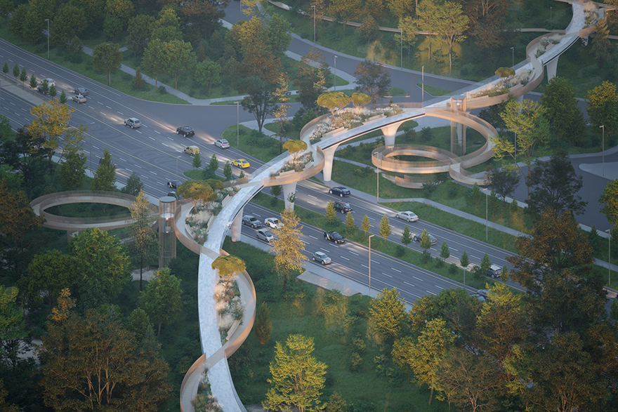 typology涓枃,typology