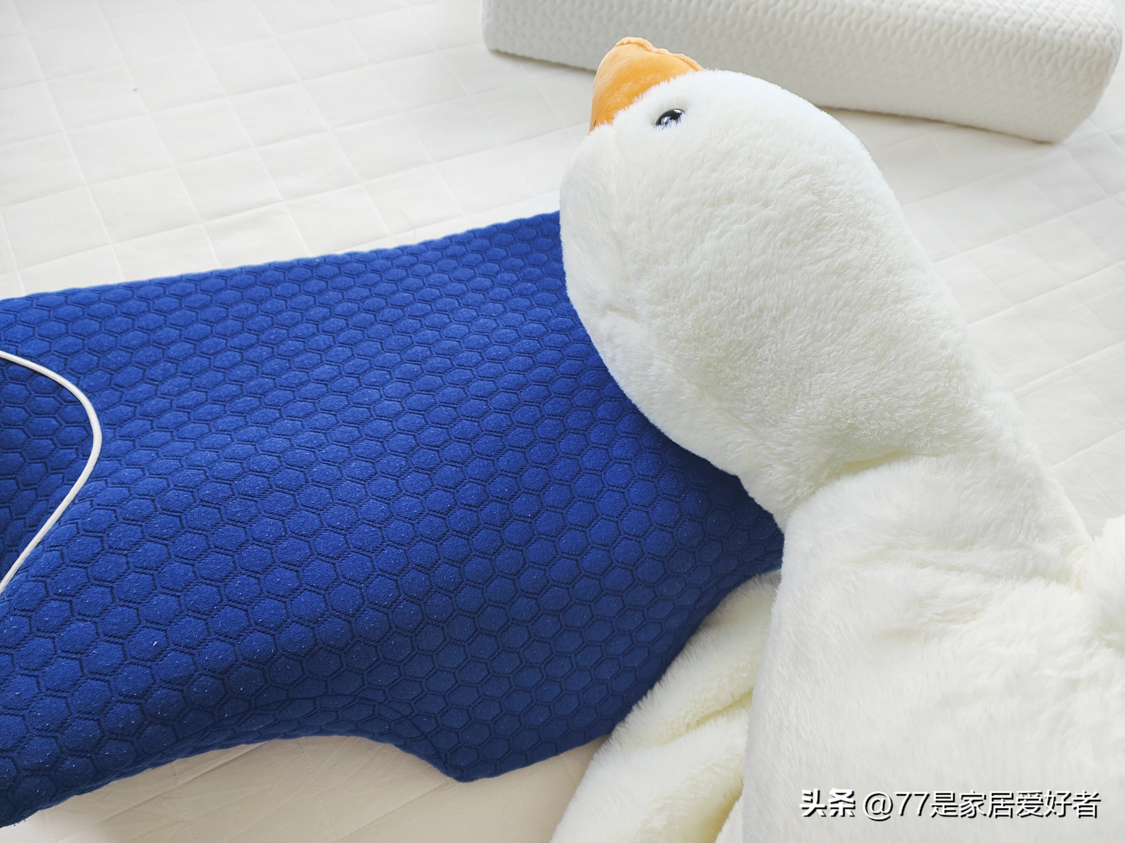 选一个舒服的枕头真的太有必要了,什么样的枕头睡得舒服又便宜