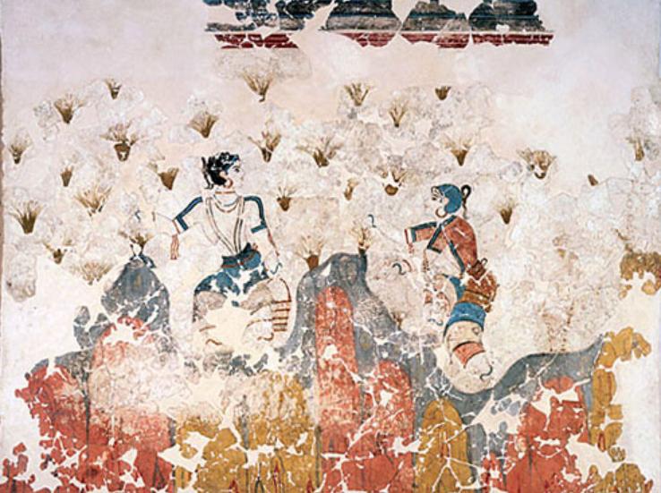 为什么藏红花有贵有便宜,藏红花是智商税还是真的有用