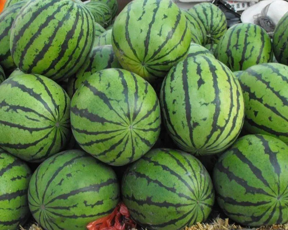 百日突击行动,百日行动抓盗猎