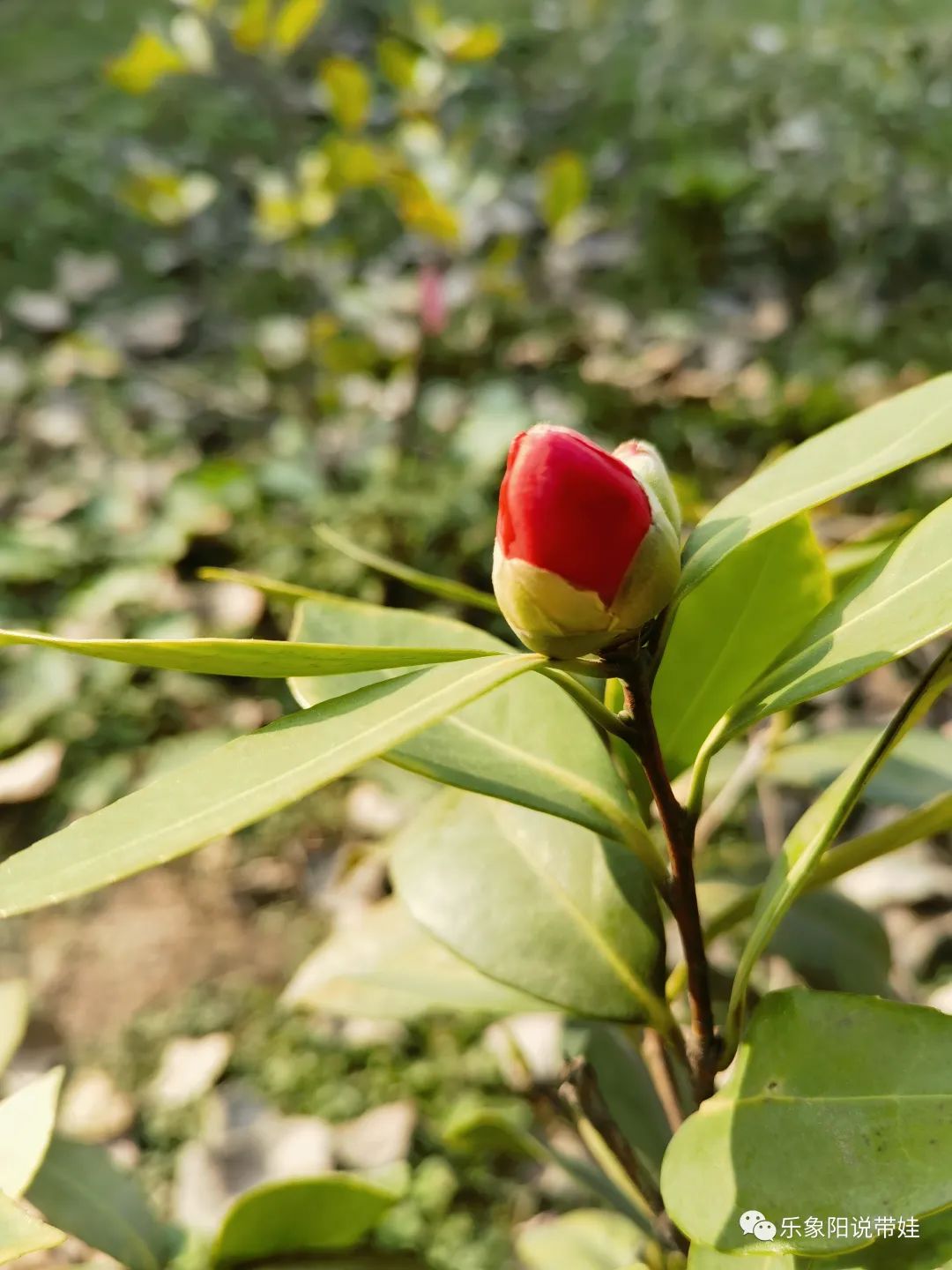 时间都去哪儿了小品完整版,时间都去哪儿了感悟