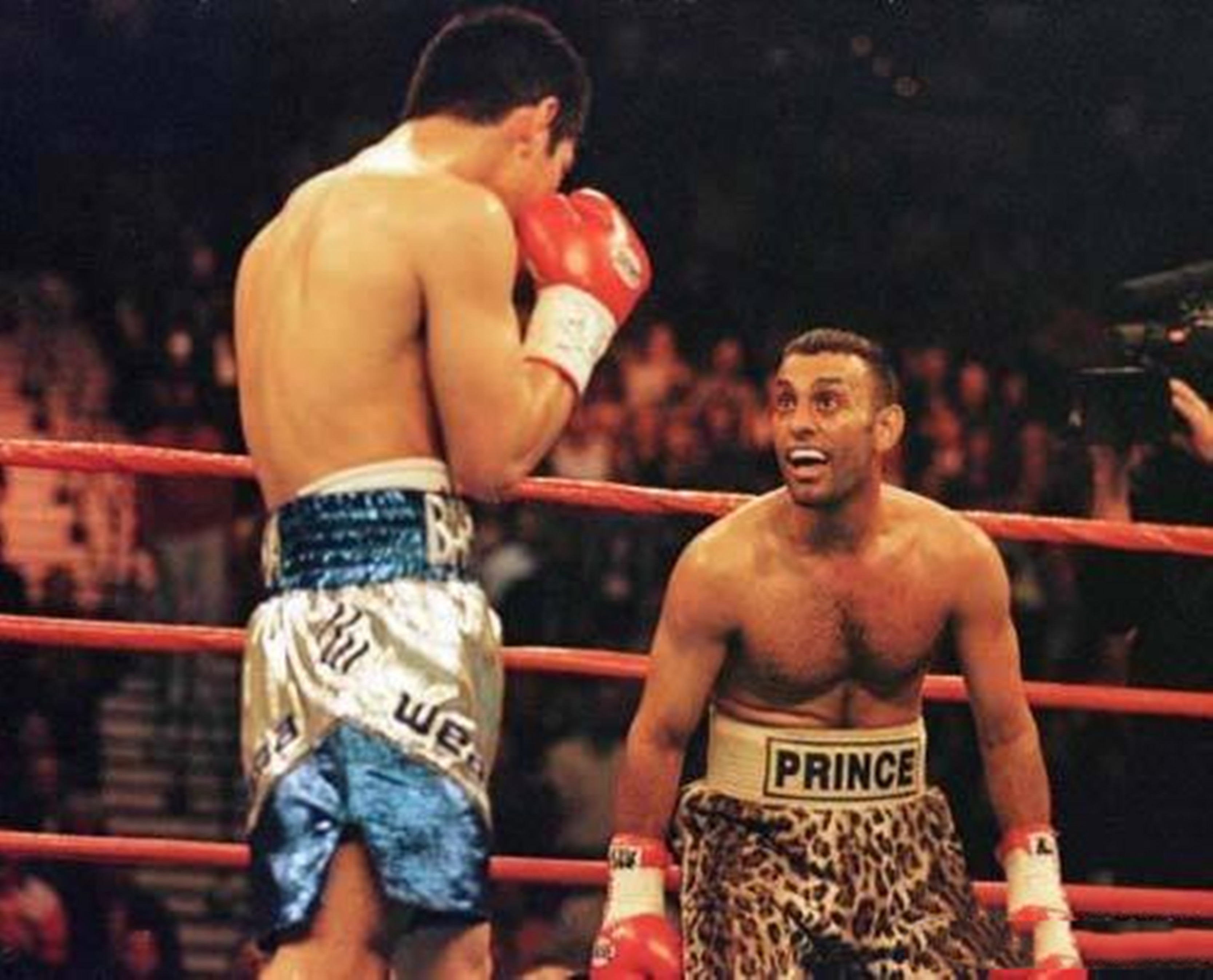 格斗是速度力量与智慧结合体,格斗是什么属性