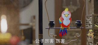 一个比一个廉价，辱智的五毛特效，但凡上点心都做不出这种东西