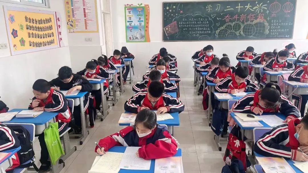 曹妃甸第三实验小学,曹妃甸第三实验小学怎么样