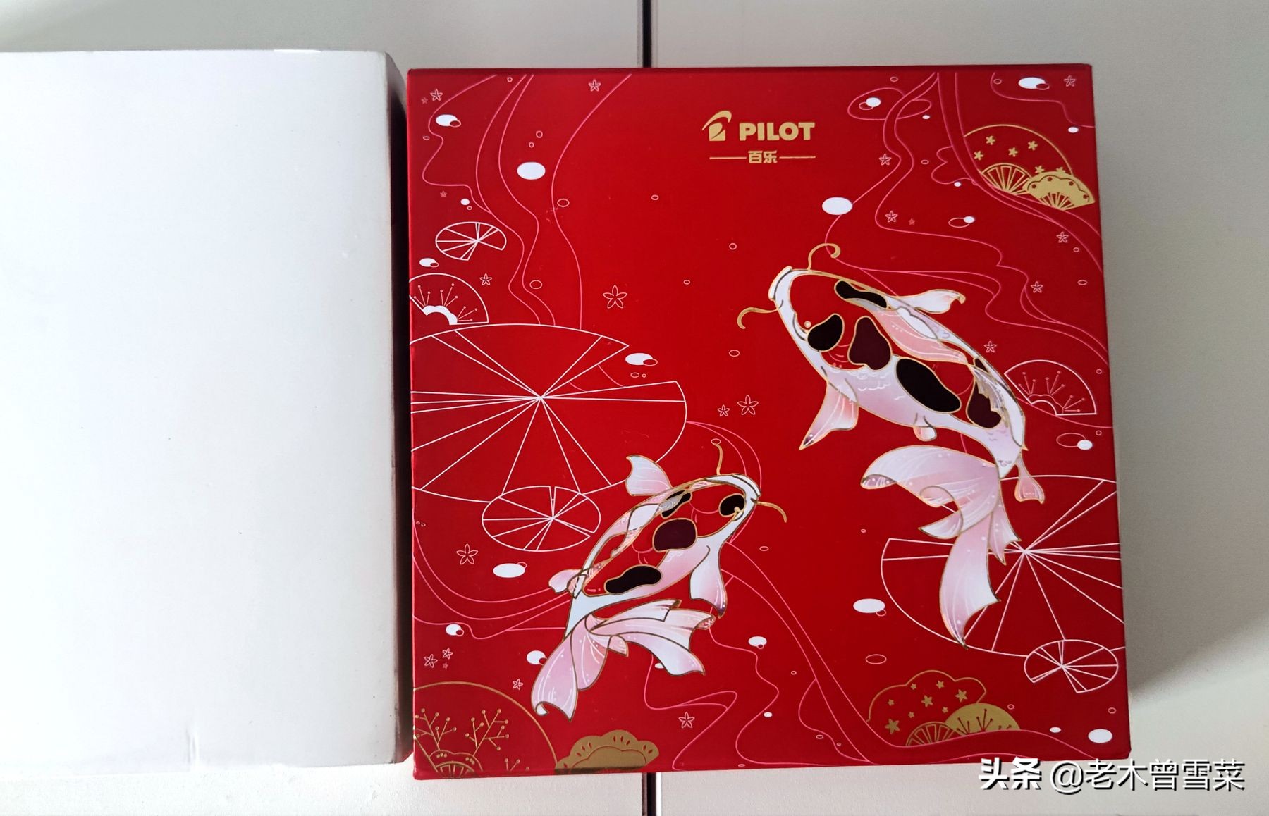 从零开始学书法钢笔字,初学钢笔字用1.0正确吗