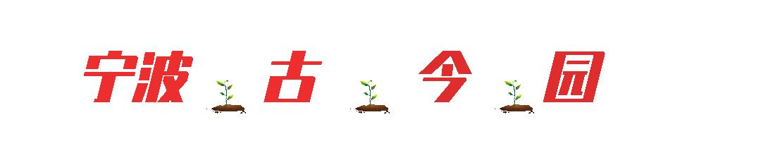 牡丹和国花的区别,国花牡丹相关书籍