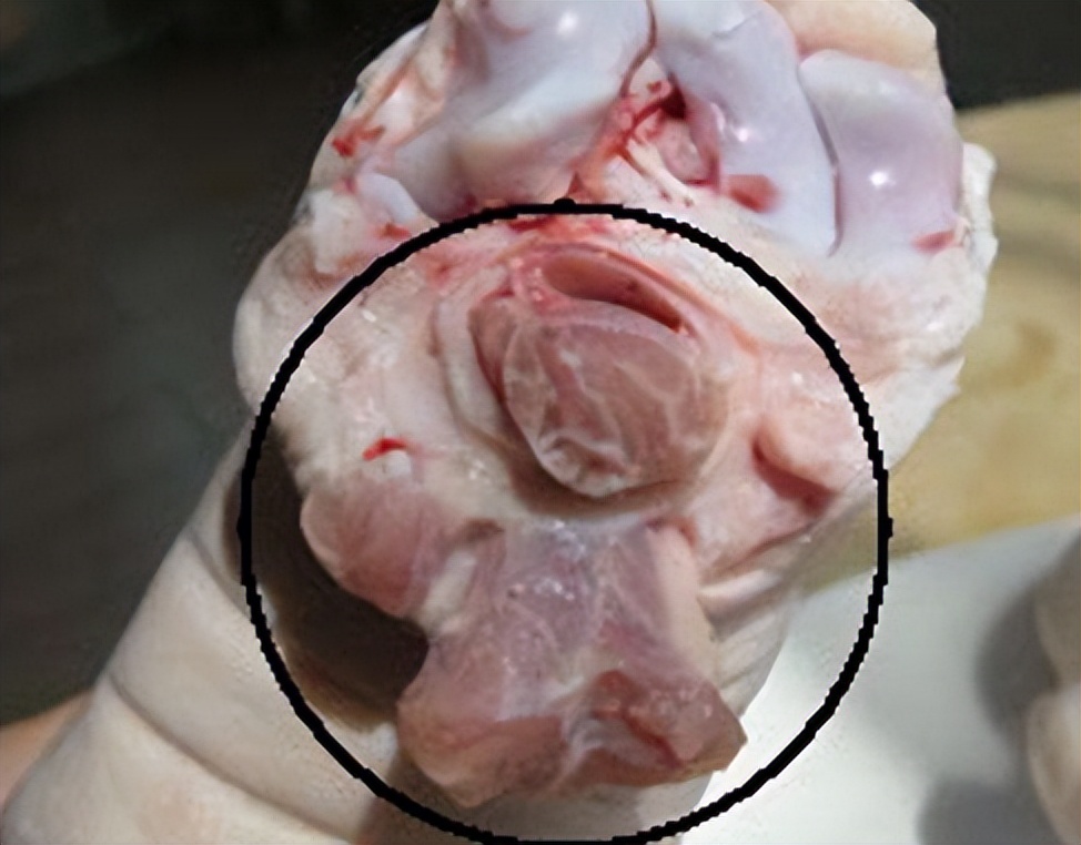 买猪蹄要买前脚还是后脚,买猪蹄挑前后蹄