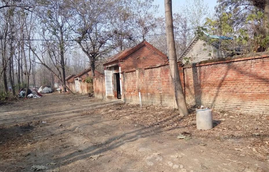 0分考生徐孟南现状作文,13年前高考零分徐孟南