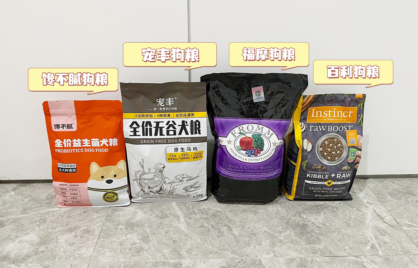 狗界“最笨”的3种狗和“最聪明”的3种狗，你也许养错了