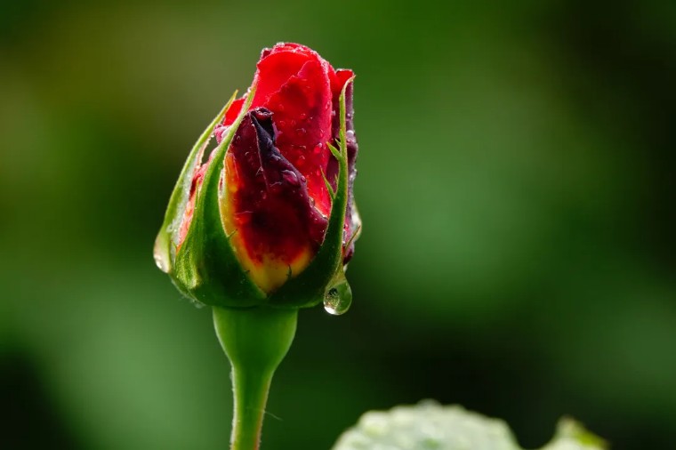 摄影技巧手机拍景物大全,手机摄影作品自然风光怎么拍