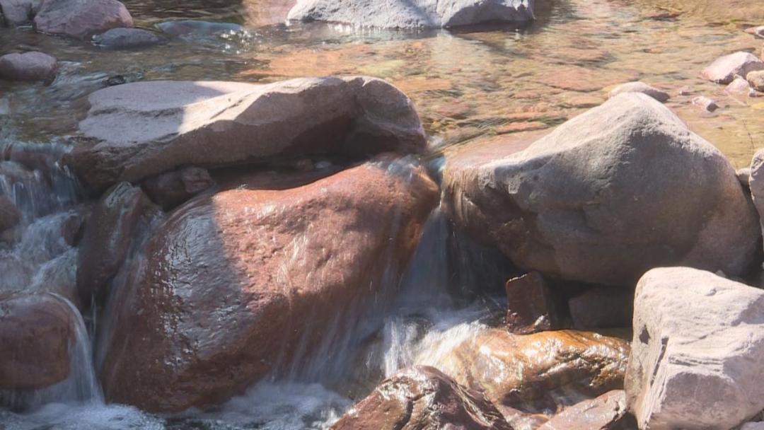 渔业乡村振兴,乡村振兴大棚养淡水鱼