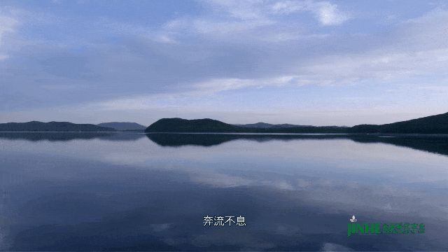 种着好米:软糯香甜的五常大米,属于家的味道。