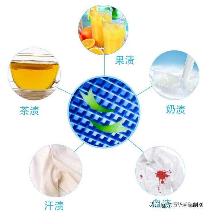 超广谱内酰胺水解酶,活性蛋白水解酶