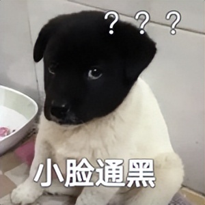 小伙靠200元一夜暴富,浙江小伙卖空气净赚400万