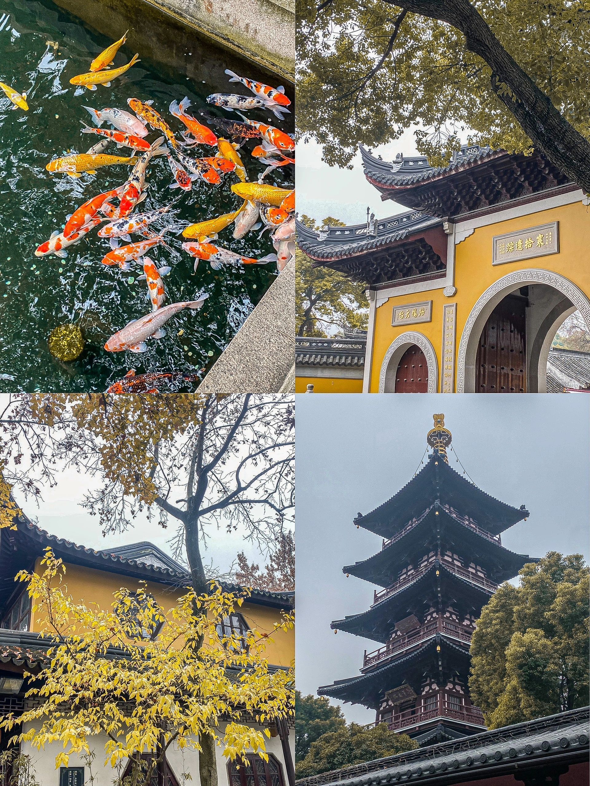 苏州梦华录,苏州山塘街梦华录