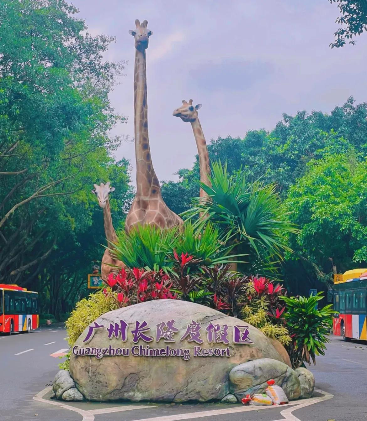 一篇文章告诉你：广州长隆跟珠海长隆有什么不一样？