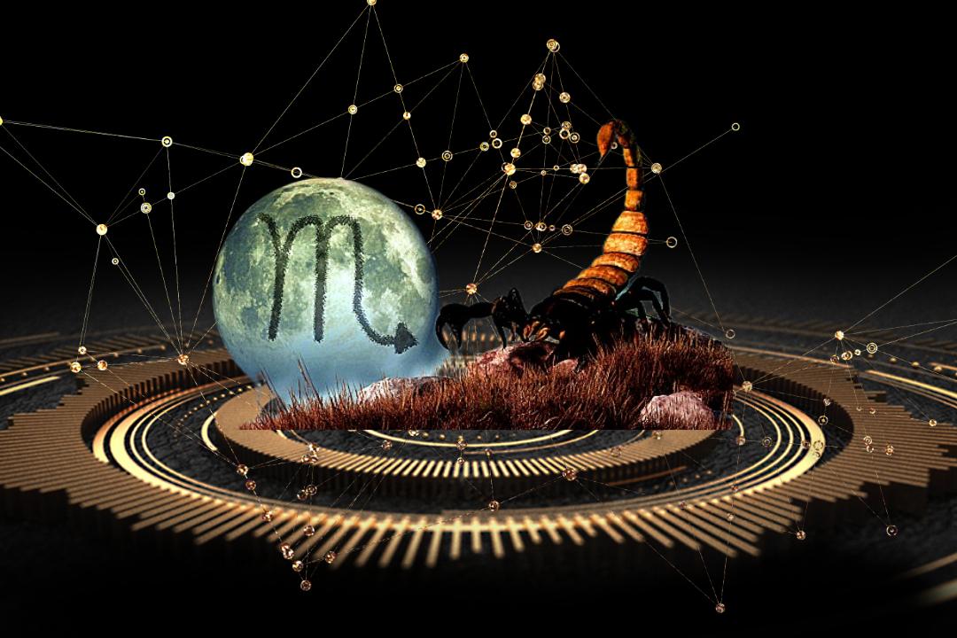 天蝎座,天蝎座2023年运势