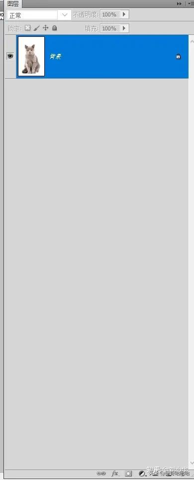 photoshop第一课魔棒工具,ps入门基础教学套索工具