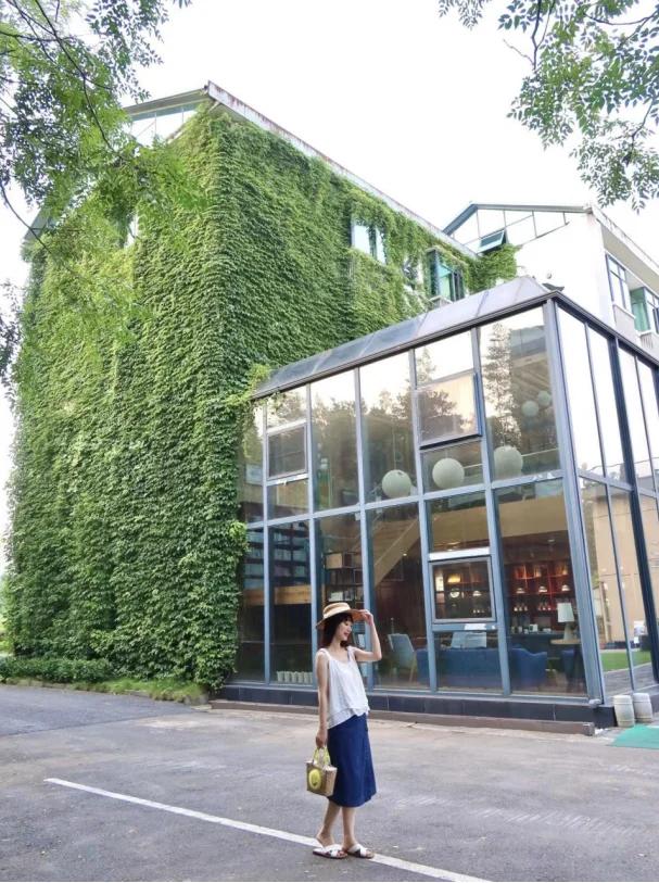 农民合作社助力乡村,助推乡村民宿高质量发展