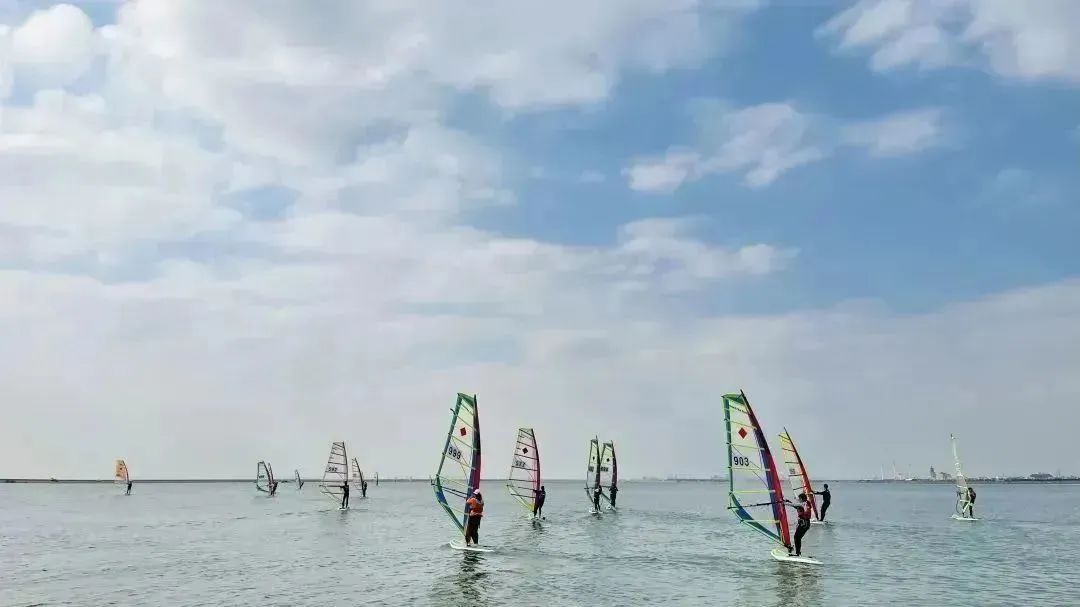 青春飞扬现场表演,市运会赛场上的精彩瞬间