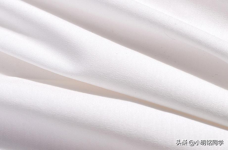 养什么猫狗不掉毛,养猫沙发用什么面料好