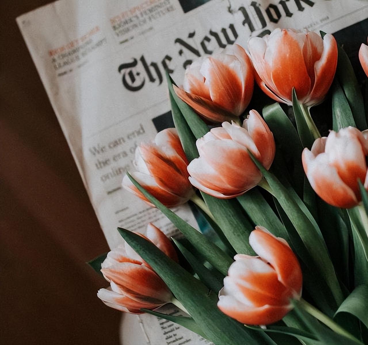 女人想你了的四句话,女人想你了有哪些暗示