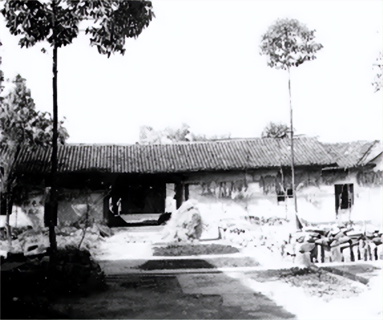 陈独秀临终前,陈独秀留下的遗言