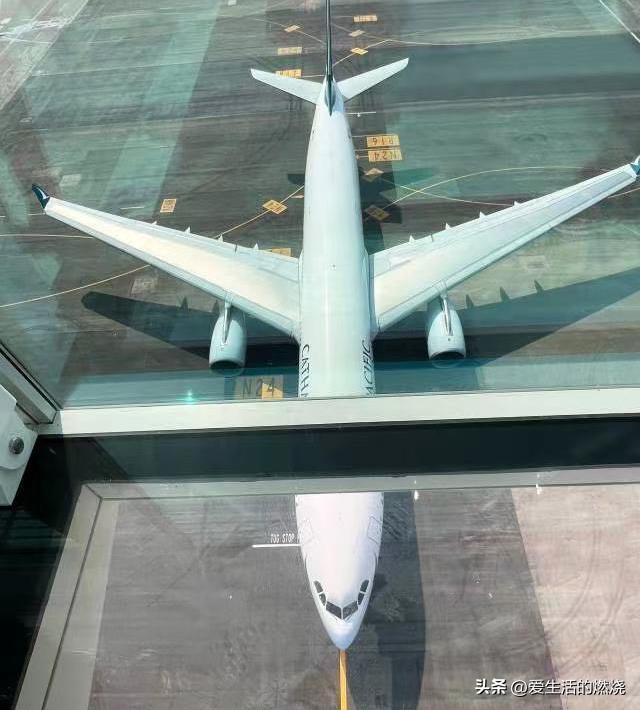 去了一趟香港的最大感触,新年新气象香港再出发