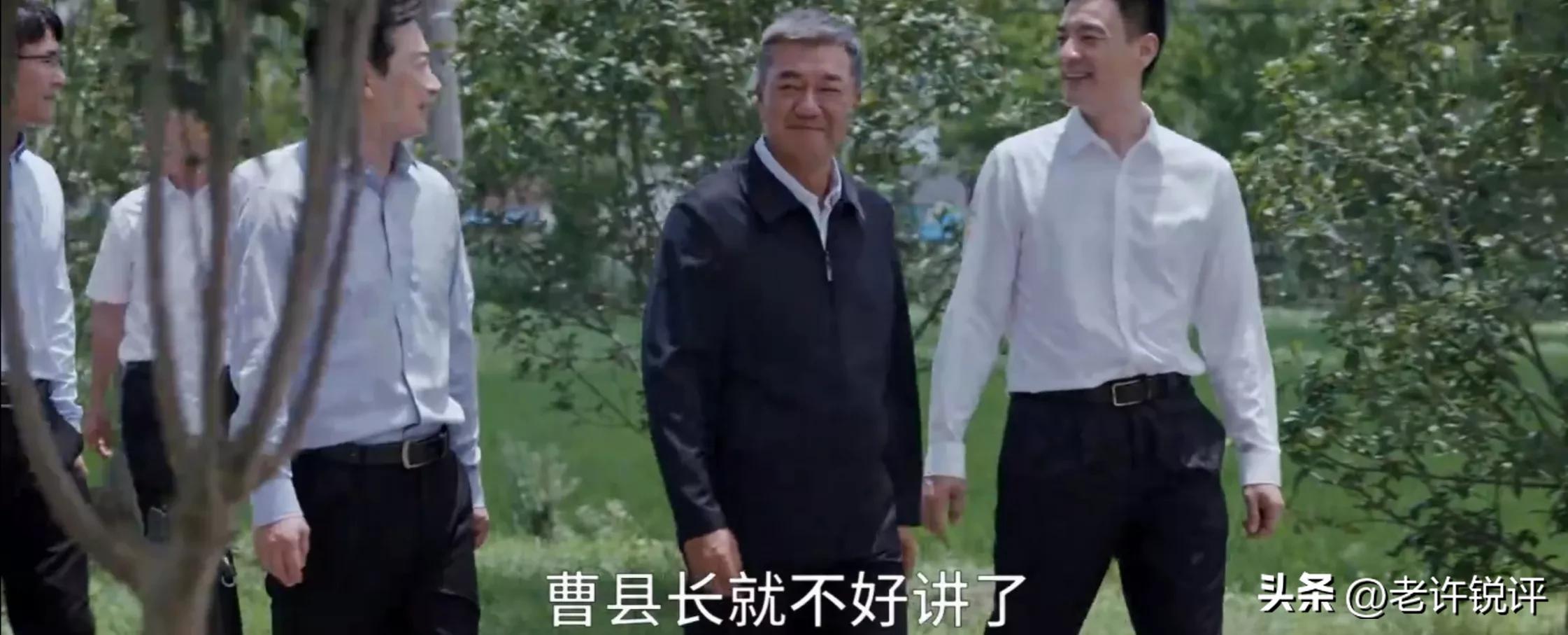 县委大院第1-30集解析,县委大院第八集深度理解